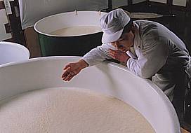 Monitoring Rice Quality at Asamai Brewery