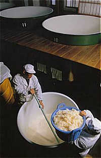 Brewing the Rice at Asamia Brewery
