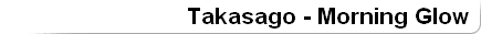 Takasago - Morning Glow 