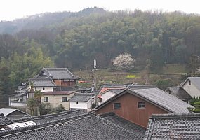 Sakahan Brewery Scene